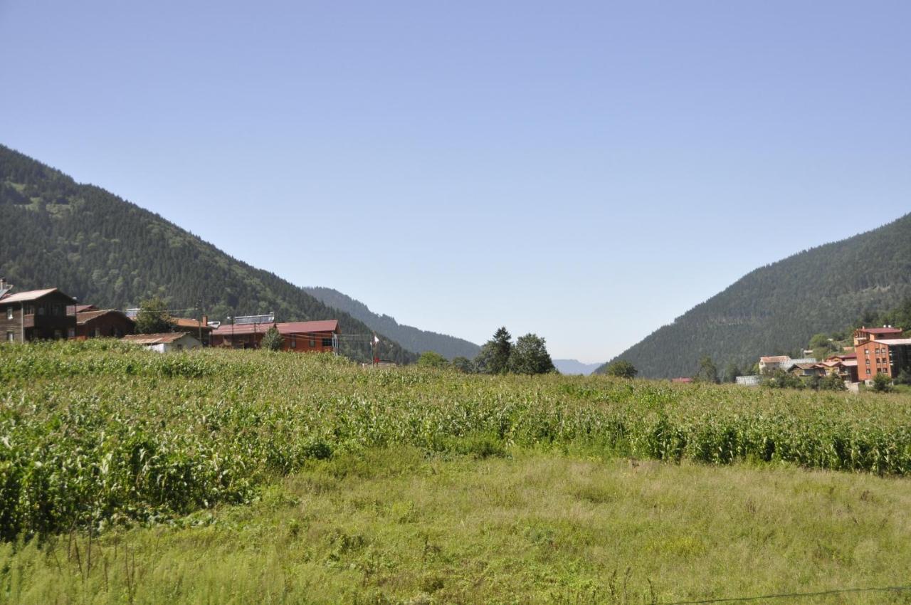 Anemo Suite Uzungöl Εξωτερικό φωτογραφία