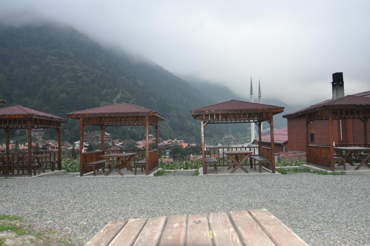 Anemo Suite Uzungöl Εξωτερικό φωτογραφία